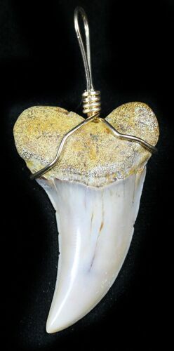 Fossil Mako Tooth Pendant - Bakersfield, CA #26103